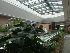 -卓锦曼购中心(国香街店)