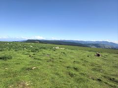 -芦芽山旅游度假区