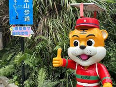 -广州市帽峰山景区