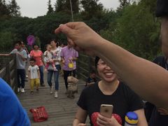 -吴淞炮台湾湿地森林公园烧烤区