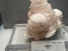 -湖南省地质博物馆