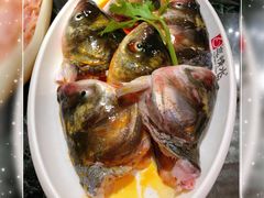 花鲢鱼头-忘情水鱼府(北湖路店)