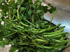 -楠波炭炉鸡煲馆(桥北店)