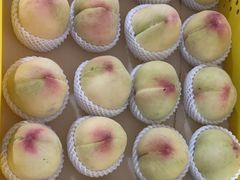 -老袁家蜜桃农场·阳山水蜜桃