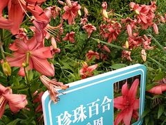 -文瀛公园