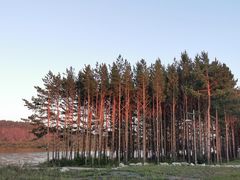 -北极村旅游风景区