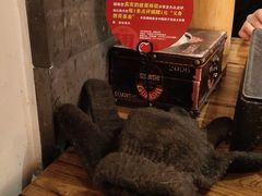 -管氏翅吧(国展店)
