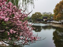 -南园(太仓市)