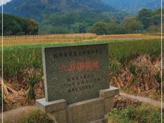 -八卦田遗址公园