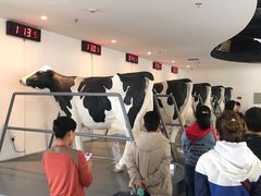 -蒙牛工业旅游景区