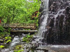 -凤凰山国家森林公园