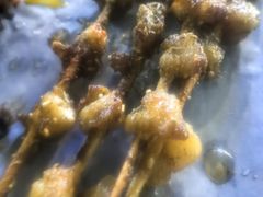 -记忆串城·东北烧烤·小龙虾·大型团建(南油店)