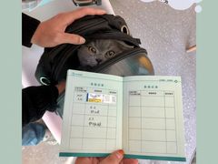 -心仪动物医院·牙专科·肿瘤·心脏科(西客站院)