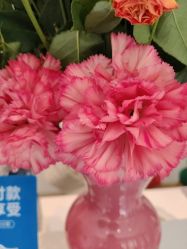 点击看大图 -Dr.林醫生产后修复·配方产康店(南京大厂店)