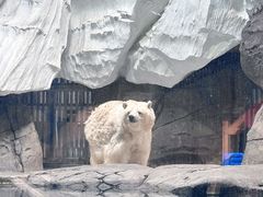 -海合安武汉极地海洋公园