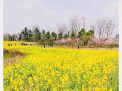 -白鹭湾湿地公园