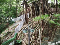 -乌山风景区