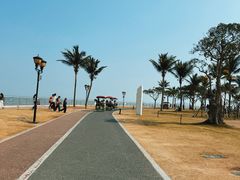 -野狸岛