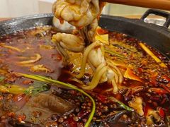 -鸿顺老铁锅美蛙鱼府(解放碑店)
