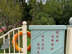 -上海长兴岛郊野公园