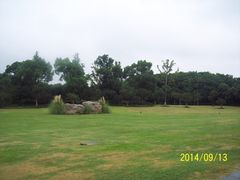 -昆山城市生态森林公园