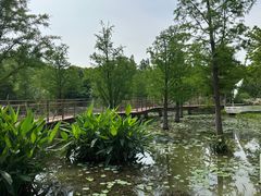 -同里国家湿地公园
