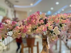 -花之城