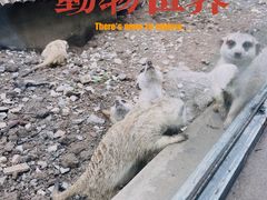 -天津市动物园