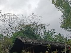 -深圳国际园林花卉博览园