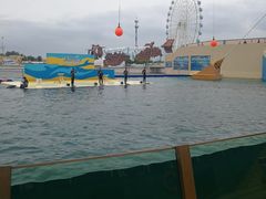 -秦皇岛乐岛海洋王国