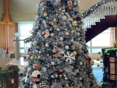 -上海明天广场JW万豪酒店