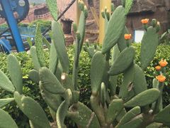 -世界恐龙谷景区