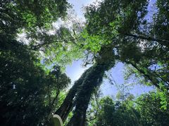 -七仙岭温泉国家森林公园