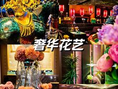 -索拉古贝(义乌北苑店)