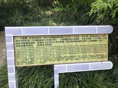 -亭林公园