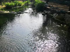 -白水寺森林公园