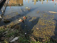 -昆山城市生态森林公园