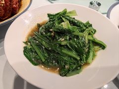 -杨氏青龙虾·羊蝎子(托乐嘉店)