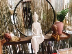 -花间禅净·瑜伽