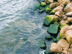 -大理洱海