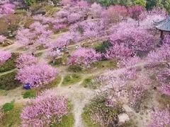 -秀丽东方