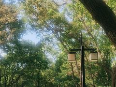 -北陵公园