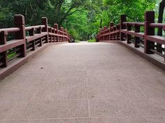 -紫霞湖公园