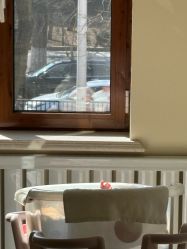 -皇家月府月子中心(沈阳店)