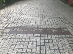 -西湖风景区-江洋畈生态公园
