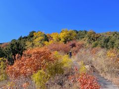 -北京西山国家森林公园