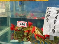 水产区-三辣馆