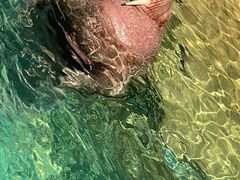 -珠海长隆海洋王国