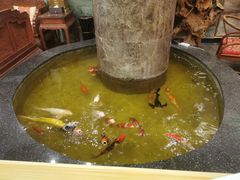 -古莲·影院足道·按摩SPA(水上温泉店)
