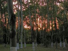 -北京奥林匹克公园